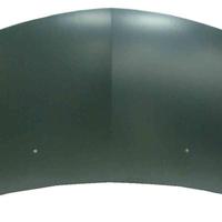 COFANO MOTORE RENAULT CLIO DAL 2005