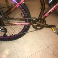 Mtb dabonb 26