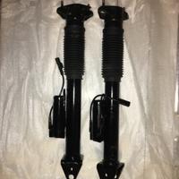 Ammortizzatori Mercedes ML BlueTEC 4 Matic W166