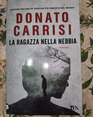 Libro La ragazza nella Nebbia
