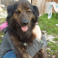 DARK perfettamente equilibrato aspetta solo TE