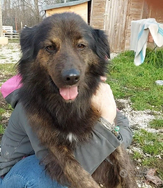 DARK perfettamente equilibrato aspetta solo TE