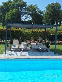 Gazebo pergola