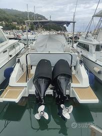 Beneteau flyer 8.8