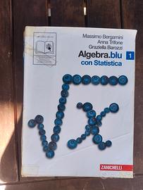 libro algebra e statistica liceo