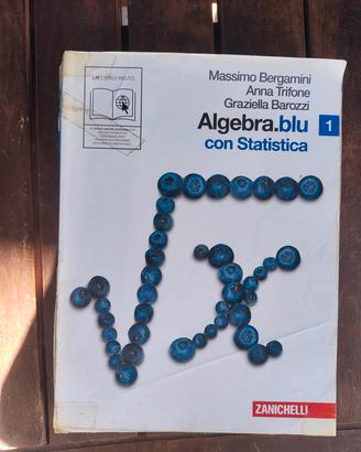 libro algebra e statistica liceo