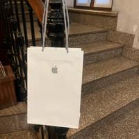 Sacchetto carta shopping bag Apple medio