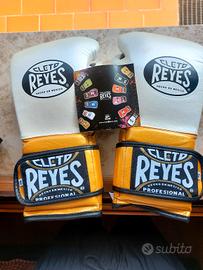 guanti da boxe 