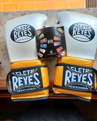 guanti da boxe 