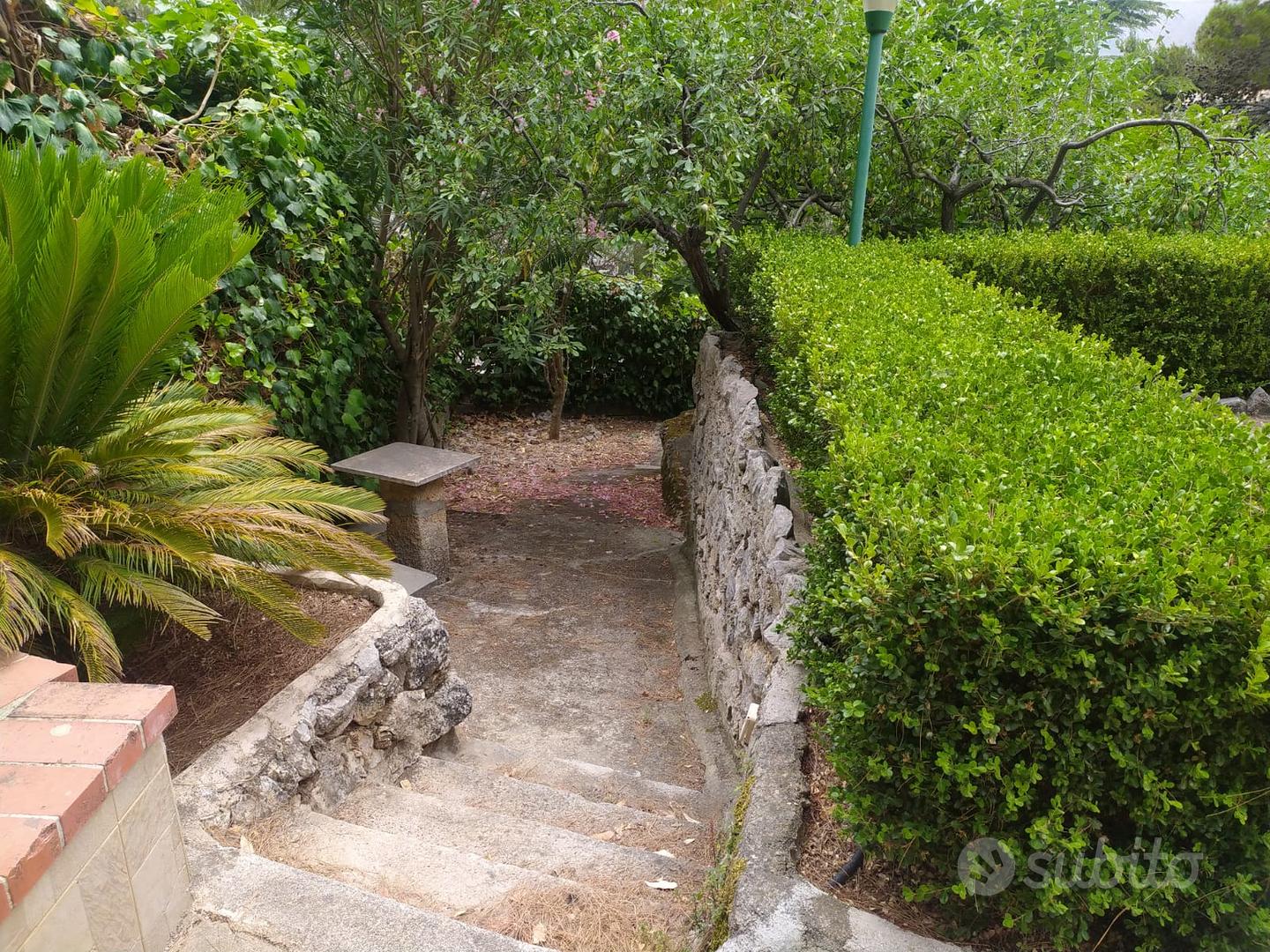 Casa – PA - Vista 5
