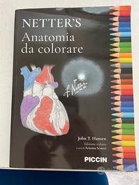 Anatomia da colorare