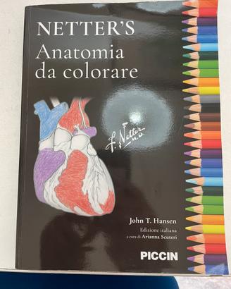 Anatomia da colorare