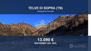 Immobile in asta di 17391 m² a Telve di Sopra