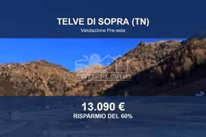 Immobile in asta di 17391 m² a Telve di Sopra