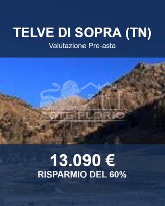 Immobile in asta di 17391 m² a Telve di Sopra