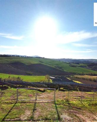 VENDITA IN ASTA - BARCAGLIONE