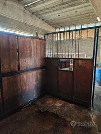 Box per cavalli in legno