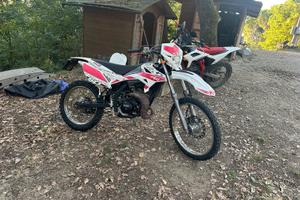 Beta RR50 2017