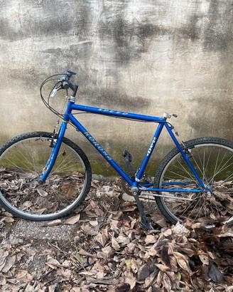 Bicicletta