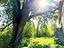 Immagine 18