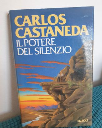 Il potere del silenzio Carlos astaneda