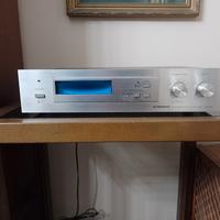 Riverberatore Pioneer