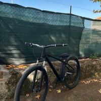 bicicletta per wheelie (modificata)