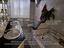 Immagine 7