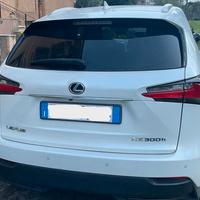 Lexus NX 300h  AWD F Sport Line + Barre + Baule