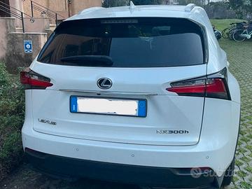 Lexus NX 300h  AWD F Sport Line + Barre + Baule