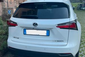 Lexus NX 300h  AWD F Sport Line + Barre + Baule