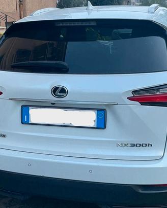 Lexus NX 300h  AWD F Sport + Barre + Baule+Gomme