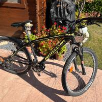 Bicicletta Bottecchia fx 107