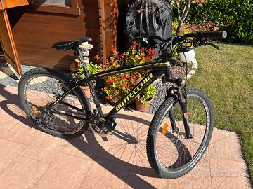 Bicicletta Bottecchia fx 107