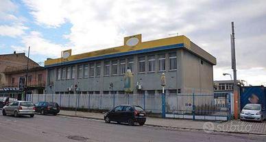 Capannone smcv 52/2024