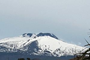 Appartamento attico di 6 camere rapisardi basso