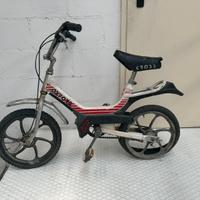 Bicicletta - Peripoli Oxford