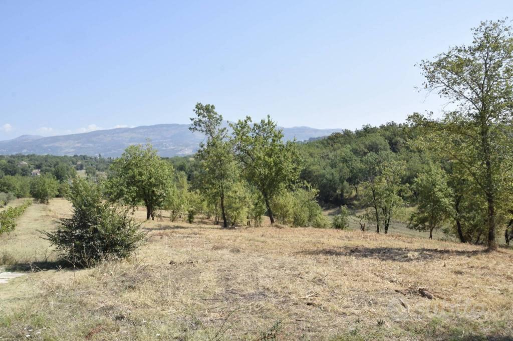 Terreno di 12000 m² a Spigno Saturnia - Altro
