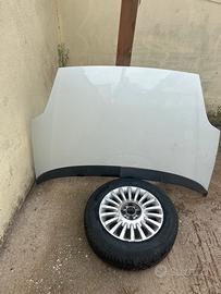 Cofano grande punto evo