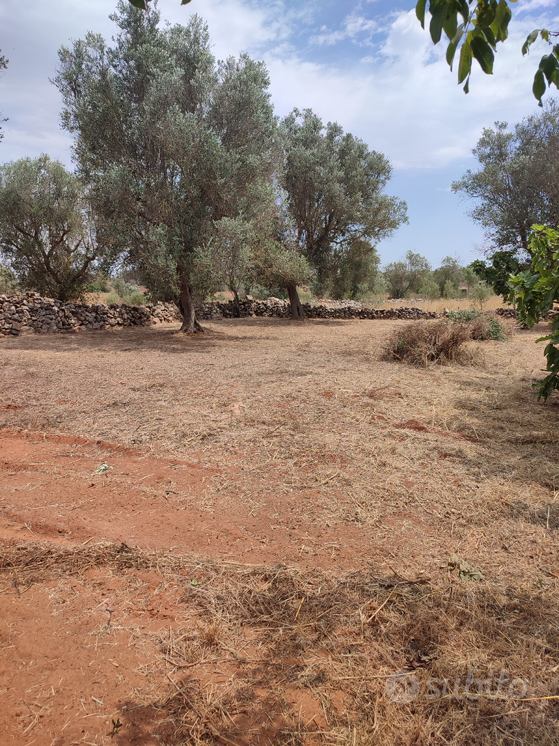 Terreno agricolo - Vista 4