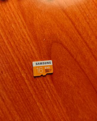 Micro sd memoria da 16 GB Samsung 