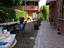 Immagine 7