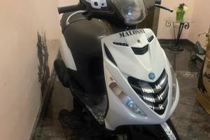 Zip 4t perfettamente funzionante