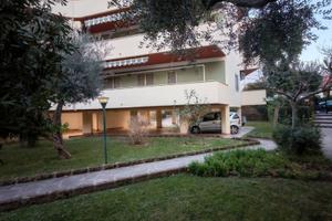 Trilocale da settembre