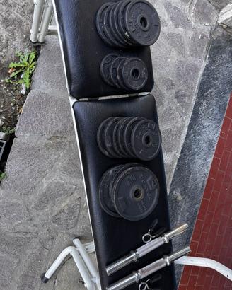 Manubri e pesi per palestra