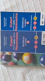 I colori della matematica 2 + quader 9788849421644