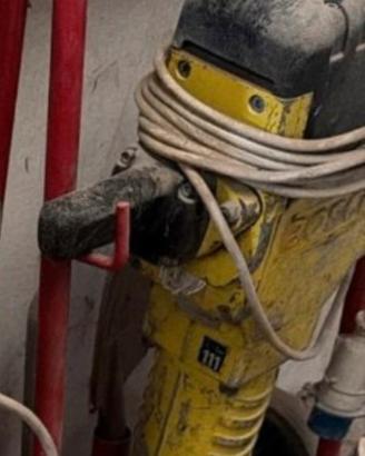 2 Martelli Demolitori Bosch Professionali con Carr