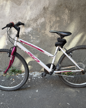 Bici Mountain bike