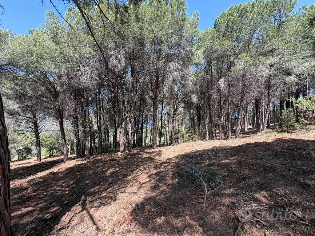 Terreno di 9250 m² a Cefalù - Altro