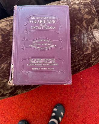 vocabolario lingua italiana